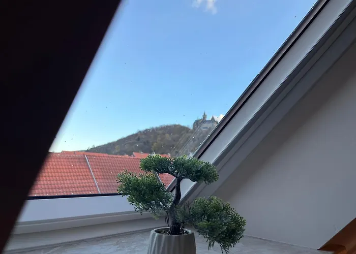 Harzfokus - Brightnest - #netflix#wlan#zentrum *